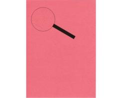 Lesuh Kartenpapier SANTANA Lederlook 10 Blatt A4 rose rose
