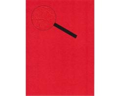 Lesuh Kartenpapier SANTANA Lederlook 10 Blatt A4 rot rot