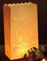 Luminaria 10 Deko-Licht-Tüten weiß Geburtstag - Happy Birthday,  26x15x9cm 