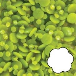 Magic Dots flowers 3mm / 200Stk. 