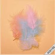 Marabufedern, Pastellfarben sort. ca. 10/12cm lang, 15 Stk. 