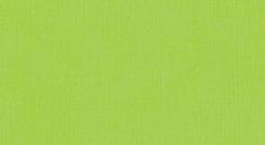 Meyco Leinenkarton DIN A5 215g 10 Blatt bedruckbar hellgrün hellgrün