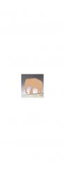 Pappart 2D-Element Elefant 20cm 
