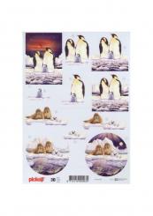 Pickup 3D Etappen Bogen Pinguin & Seelöwe 