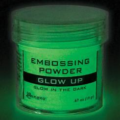 Ranger Embossing Puder 34ml Glow Up - Nachtleuchtend Glow Up - Nachtleuchtend