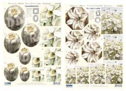 Reddycards 2 3D Stanzbögen Pyramiden Blumen 