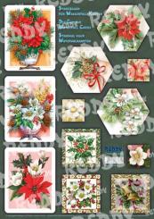 Reddycards Bastelpackung Set mit Wasserfallkarten, Weihnachtsblumen 