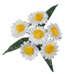 Reddycards Margeriten mit Blätt 