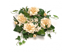 Rosenkranz creme 30cm 