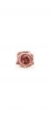 Schiebeblider : Rose rosé 120mm 