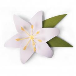 Sizzix Bigz L Stanzer - Lillie 