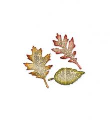 Sizzix Stanzer Bigz Tattered Leaves 