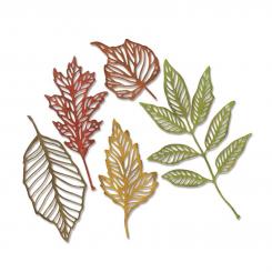 Sizzix Thinlits Stanzer Set 5tlg. - Skelettblätter by Tim Holtz 