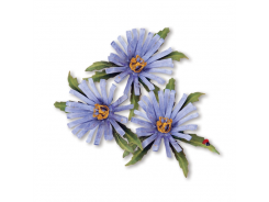 Sizzix Thinlits Stanzer Set 8tlg - Flower, Aster by Susan Tierney-Cockburn 