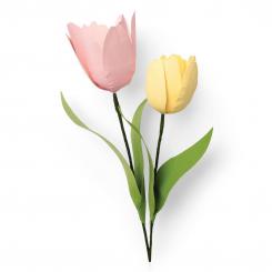 Sizzix Thinlits Stanzer Set 8tlg. - Tulpen by Jennifer Ogborn 