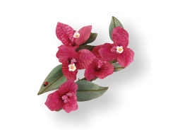 Sizzix Thinlits Stanzer Set 9tlg - Flower, Bougainvillea by Susan Tierney-Cockburn 