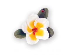 Sizzix Thinlits Stanzer Set 9tlg - Flower, Plumeria by Susan Tierney-Cockburn 