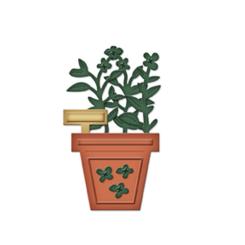 Spellbinders Stanz- & Prägeschablone D-Lites Sage 8 Stanzer 