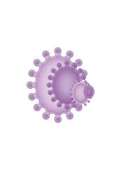 Spellbinders Nestabilities Stanz- & Prägeschablone Crowned Ovals 4 Stanzer 