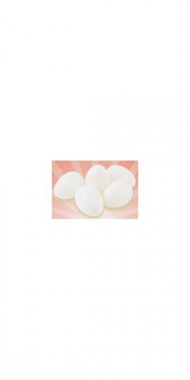 12 Eier weiß Taubeneier 3,9x2,9cm aus Kunststoff 