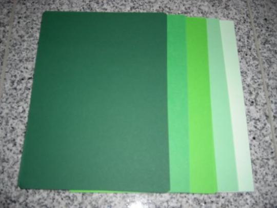 40x 13,5x27cm Kartenkarton Basic Grün 