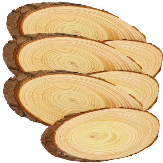 Baumscheiben mit Rinde 6er Set - Oval 