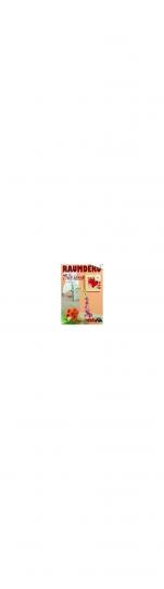 Buch Raumdekorationen 