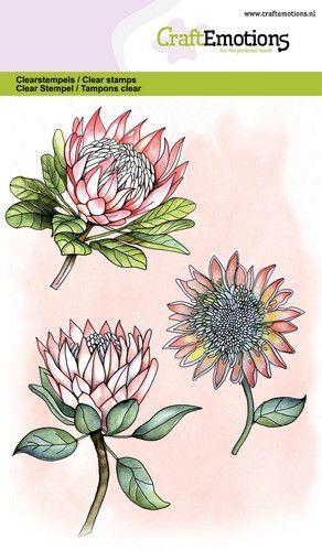 CraftEmotions Silikon Stempel Set A6 3tlg. - Protea 