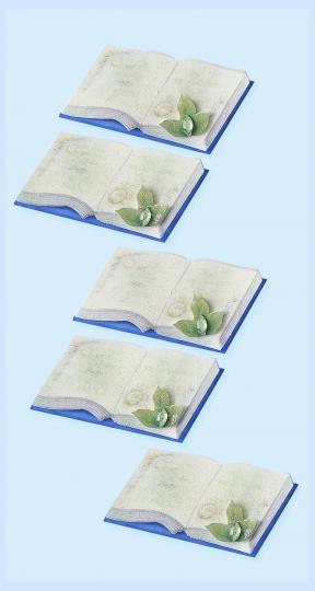 CreaPop 3D Sticker Buch / Bibel 5 Stück a. 4,1x2,5cm mit iris Glitter 