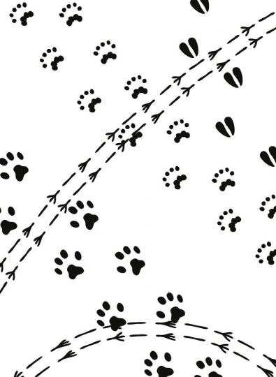 Darice Embossing-Prägeschablone animal tracks 14,6x10,8cm 