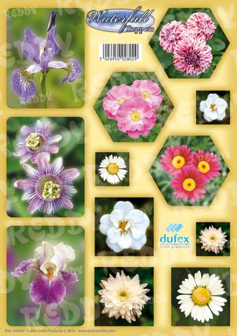 Dufex Stanzbogen Wasserfallkarten, Blumen 