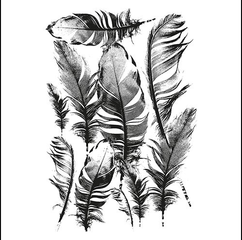 Embossing-Prägefolder/ -schablone Federn 10,6x15cm 