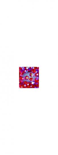 Facetten Glasperlen AB irisirend hell-siam-rot 8MM / 30 ST 