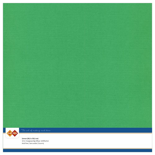 Findit Carddeco Leinenkarton 30,5 x 30,5cm 240g 10 Blatt Grün Grün