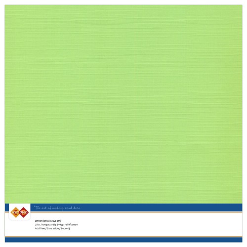 Findit Carddeco Leinenkarton 30,5 x 30,5cm 240g 10 Blatt Maigrün Maigrün