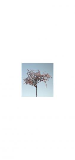 Korallenholzpick braun 23cm 