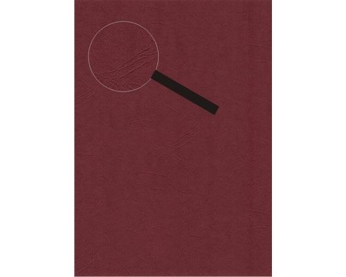 Lesuh Kartenpapier SANTANA Lederlook 10 Blatt A4 bordeaux bordeaux