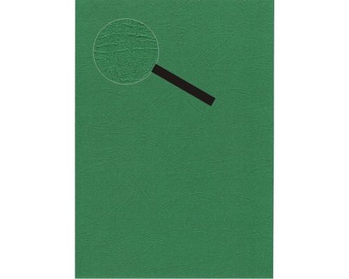 Lesuh Kartenpapier SANTANA Lederlook 10 Blatt A4 grün grün