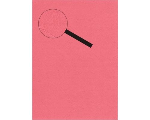 Lesuh Kartenpapier SANTANA Lederlook 10 Blatt A4 rose rose
