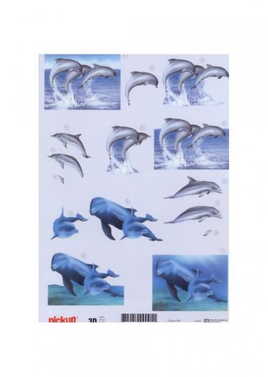 Pickup 3D Etappenbogen Delfine 
