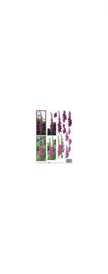 Reddycards 3D Schneidebogen Jackie Henshall, Fingerhut in lila und flieder 