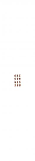 Schiebebilder : 12 x Festival Rose 40 x 30mm 