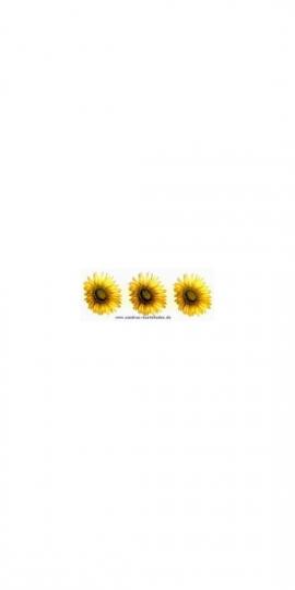Schiebebilder : 3 Sonnenblumen 35mm 