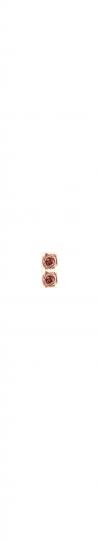 Schiebeblider : 2x Rose rosé 95mm 
