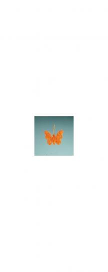 Schmetterling Sisal orange 7 cm, 18 Stück 