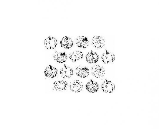 Stempel Hintergrund Kürbisse 6,0x4,8cm 