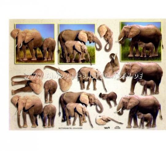 TBZ 3D Bogen geprägt - Elefant 