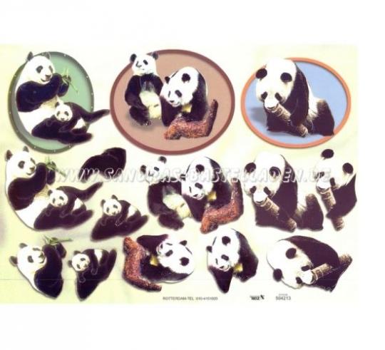 TBZ 3D Bogen geprägt - Pandabär 1 