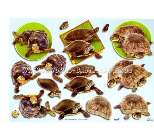 TBZ 3D Bogen geprägt - Schildkröten 2 