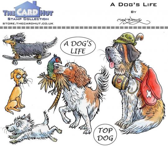 The Card Hut Clearstempel A6 - A Dog's Life 